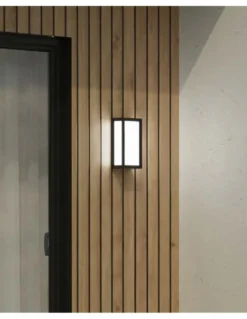 Aplique de pared de exterior Thomas – FORLIGHT – Lámpara antracita, E27 IP44, Altura: 28 cm