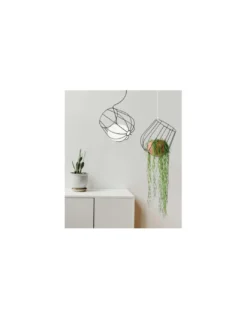 Lámpara colgante Light & Plant - Plussmi