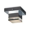 Plafón de techo Prisma – Schuller – Tulipa de acrílico transparente