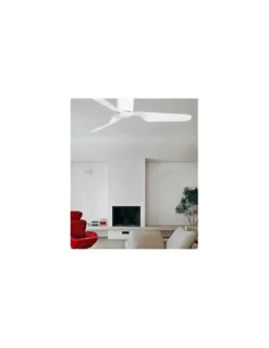 Ventilador de techo con o sin luz Pemba - Faro - Ventilador silencioso para estancias medianas